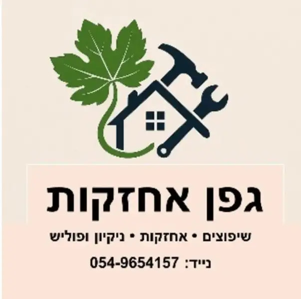 גפן אחזקות