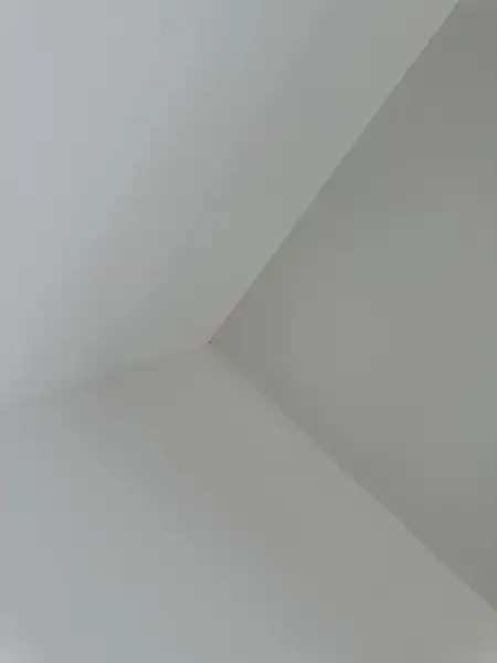 שיפוצים וצבע מזאוי