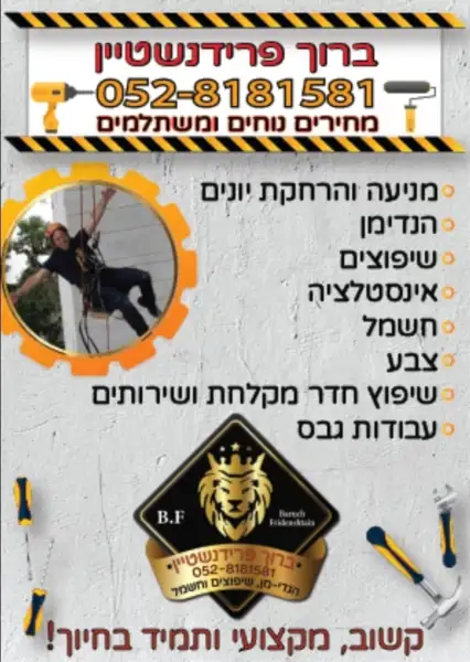ברוך פרידנשטיין פרוייקטים
