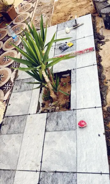 אבו כף איד .קבלן
