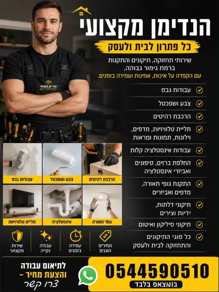 הנדימן מקצועי