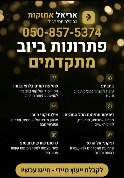 אריאל אחזקות