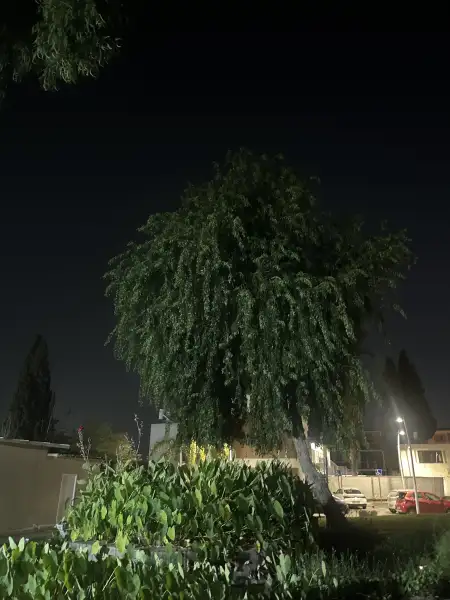 שיפוצים sm