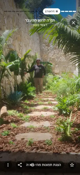 ורדים בכרמל גינון ופיתוח