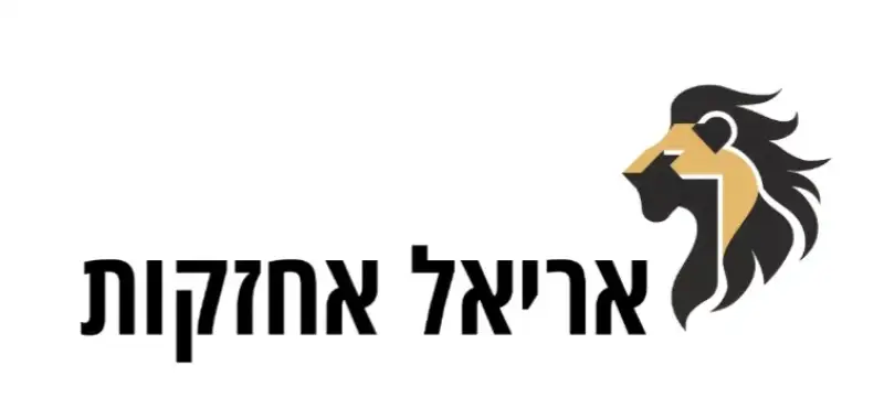אריאל אחזקות