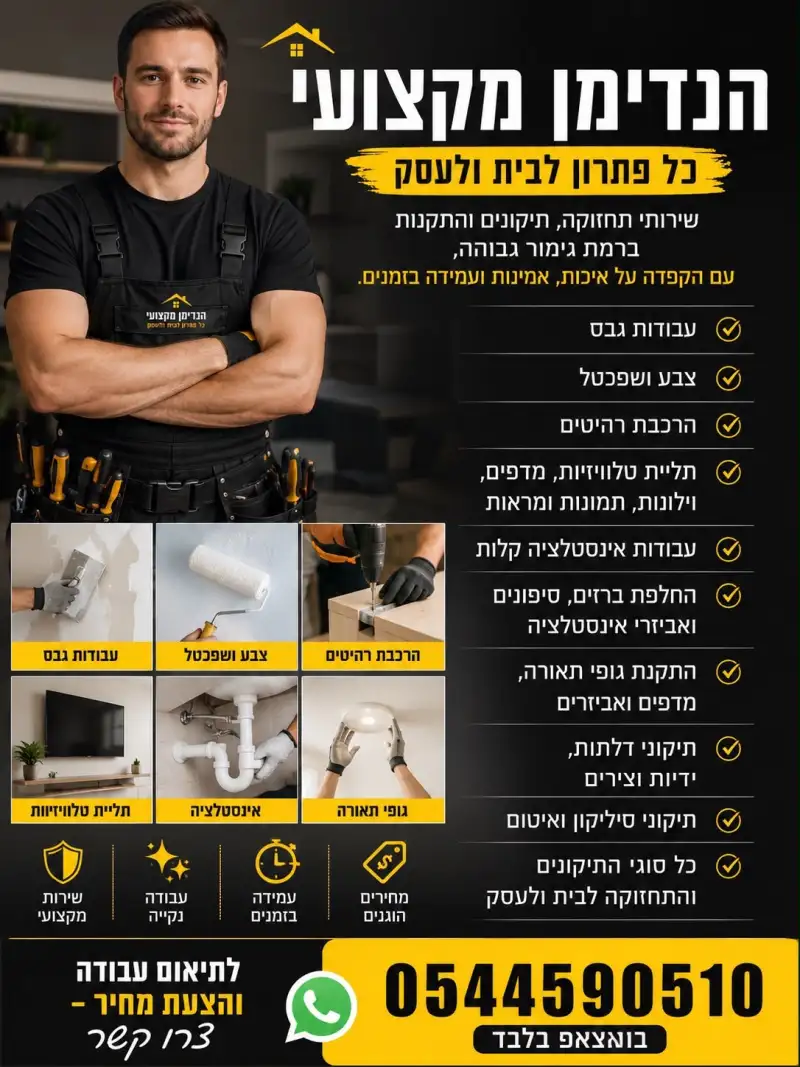 הנדימן מקצועי