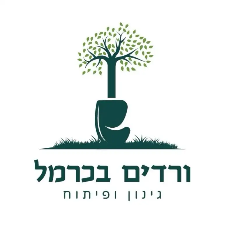 ורדים בכרמל גינון ופיתוח
