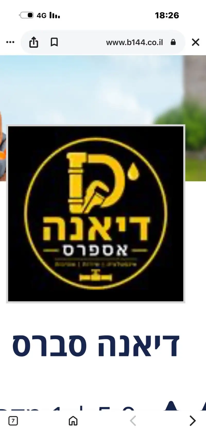 דיאנה סברס שיפוצים