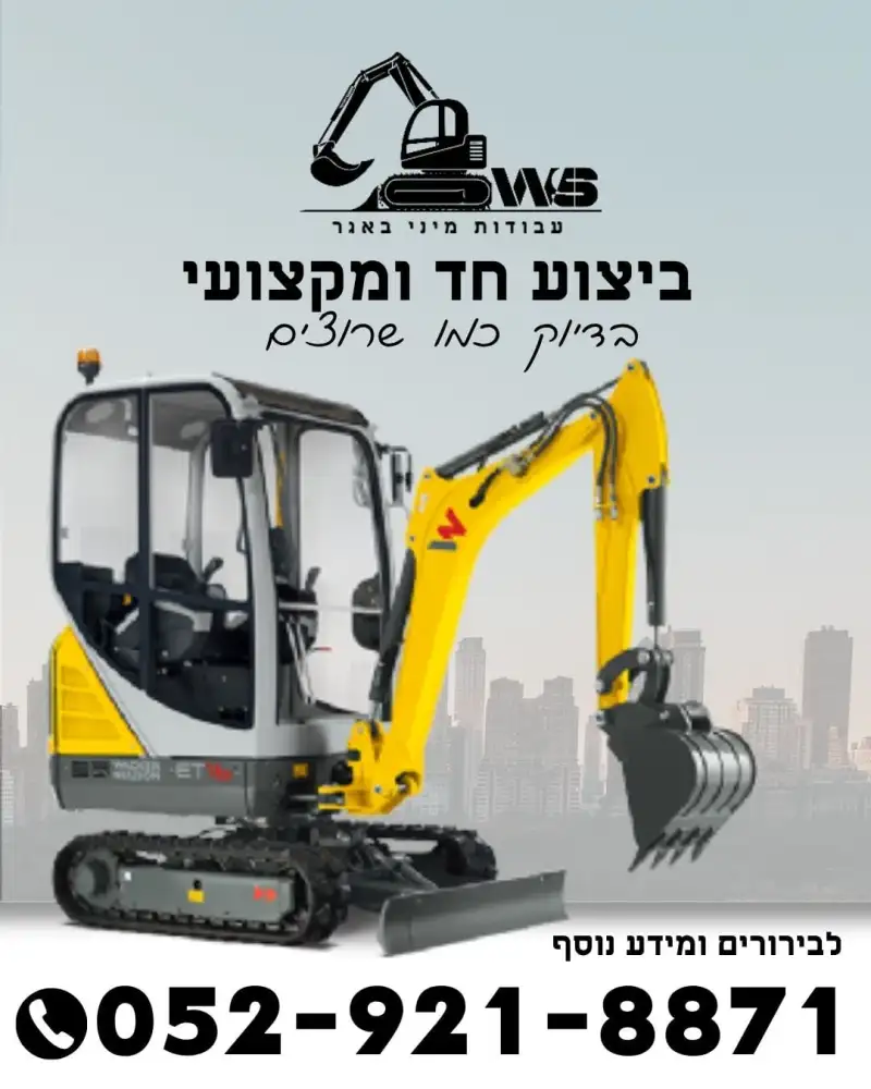 ws עבודות מיני באגר